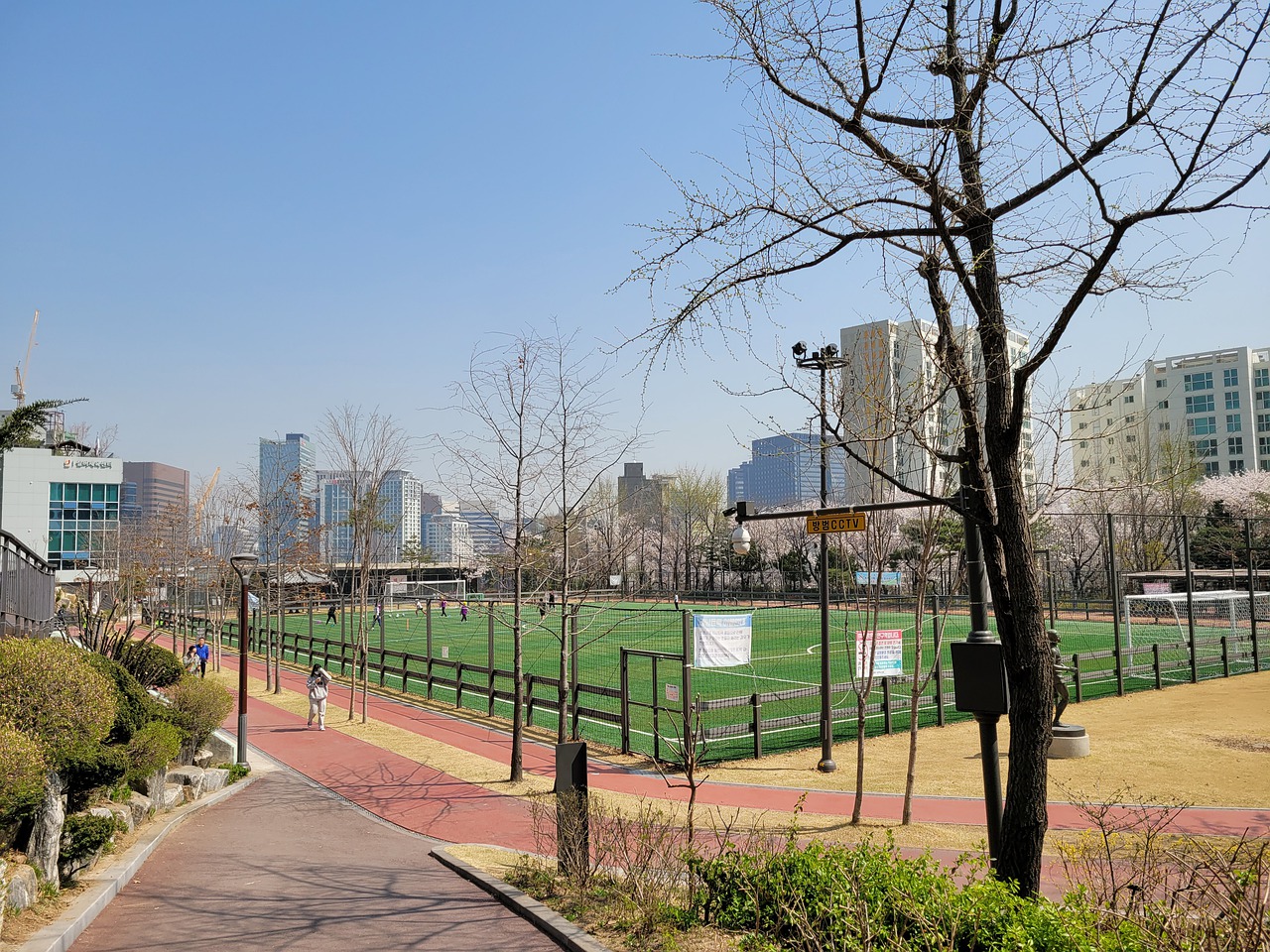 埃德爾並未 埃德爾並未