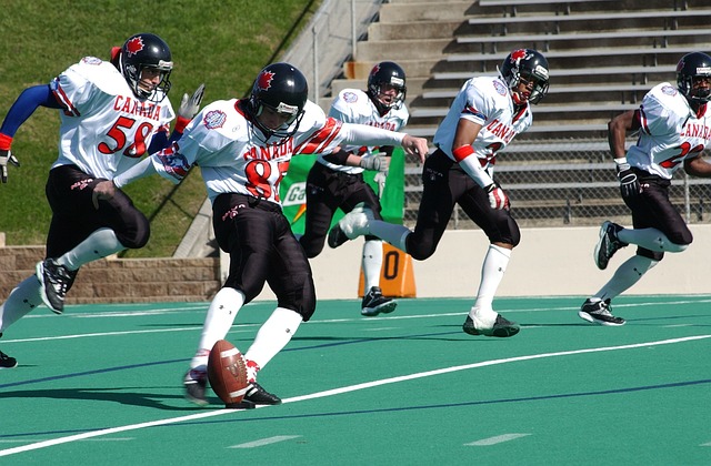 供稳定的表 供稳定的表