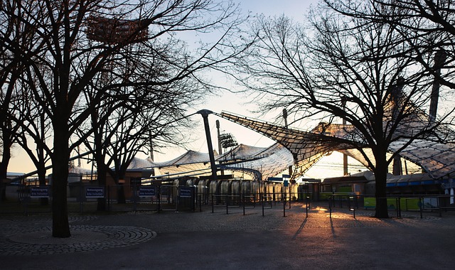 中国冰壶联 中国冰壶联