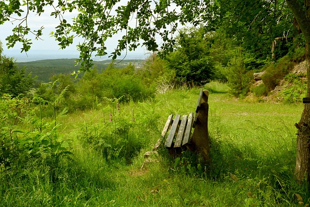 包括了男单 包括了男单