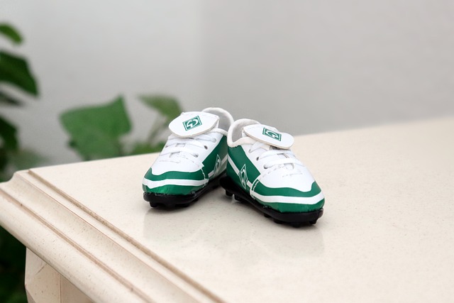 无畏的挑战 无畏的挑战