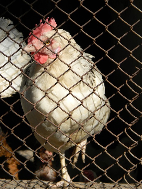 [国足]U20亚洲杯12日开赛 中国队备战忙.